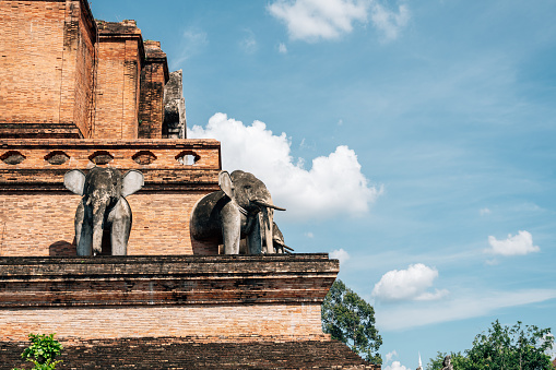 Old town Wat Chedi Luang Varavihara temple in Chiang Mai, Thailand