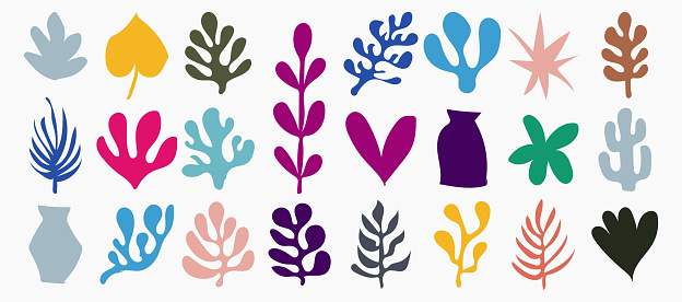 Vector set of handmade colors plants leaf organic shapes symbol element collection on white background
