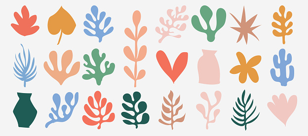 Vector set of hand drawing colors plants leaf organic shapes symbol element collection on white background