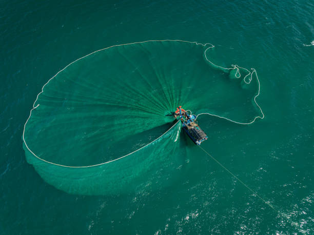 Netting anchovies on Tuy Hoa sea Drone view of fishing boat is netting on the sea of Hon Yen, Phu Yen province, central Vietnam fish trawler stock pictures, royalty-free photos & images