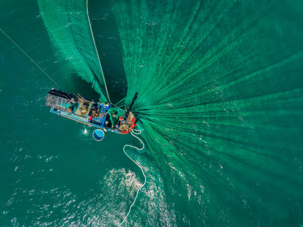 Netting anchovies on Tuy Hoa sea Drone view of fishing boat is netting on the sea of Hon Yen, Phu Yen province, central Vietnam boat-fishing-net stock pictures, royalty-free photos & images