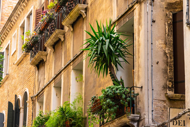 istock Balconies with plants in Venice, Italy 1882424158
