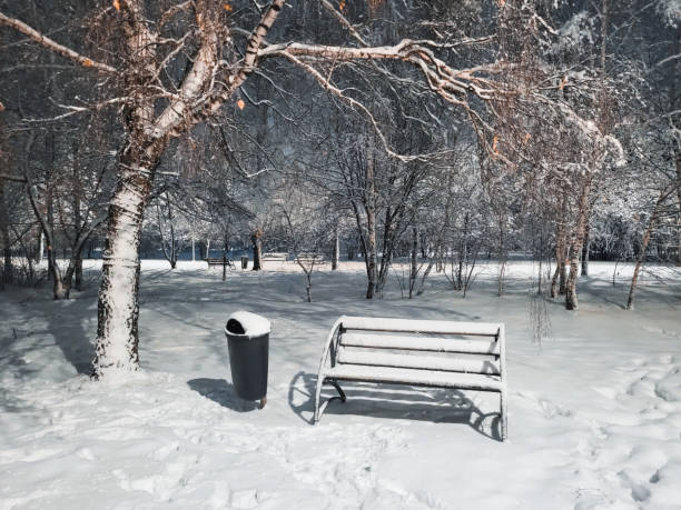 istock Twilight in the city park trees in the evening after a snowfall 1882447507