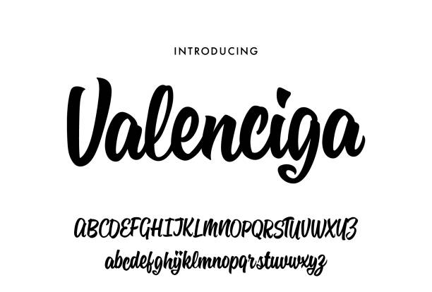 Vector Brush Alphabet Vector Hand Drawn Alphabet. Brush Paint Letters. Decorative script typography. calligraphy alphabet styles drawing stock illustrations