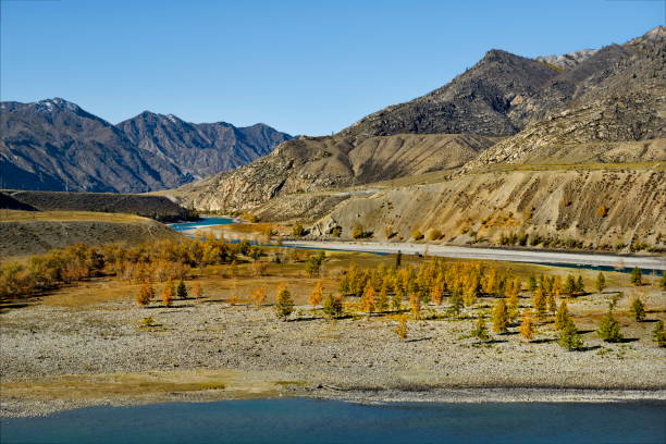 istock Autumn Altai in all its glory 1882472563