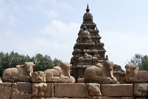 Arjuna,s Penance or Descent of the Ganges is a monument at Mahabalipuram, on the Coromandel Coast of the Bay of Bengal, in the Kancheepuram district of the state of Tamil Nadu, India. It is a giant open-air rock relief carved on two monolithic rock boulders.