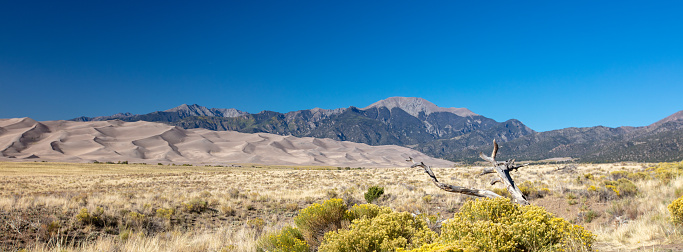 Great Sand Dunes National Park in front of the Sangre De Cristo range of the Rocky Mountains in Colorado United States