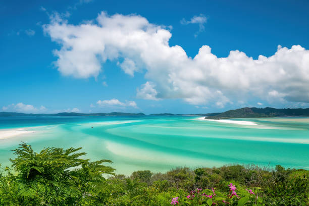 istock Whitsunday Islands, Queensland, Australia 1882560815