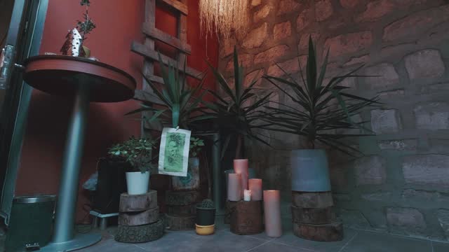 a peaceful decoration of candles and houseplants at the entrance of the workshop