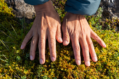 Close up of hands of a female hiker stroking and gently feeling the typical Irish green moss on the gray stone while walking on a country trail