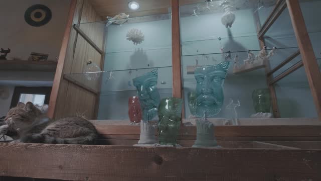 glass human faces in the shop window and other objects on the shelves