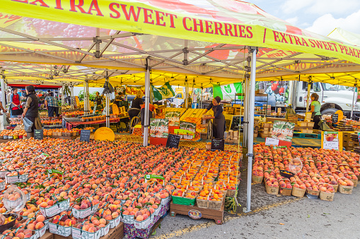 ST. JACOBS , ONTARIO, CANADA - JULY 30, 2016: Mennonite female farmer selling peaches at St. Jacobs farmer's market, Ontario, Canada.
St. Jacobs farmer's market is Canada's largest year round market.