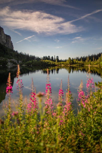 istock Tranquil lake in a mountainous area surrounded by pink blooms 1882594833