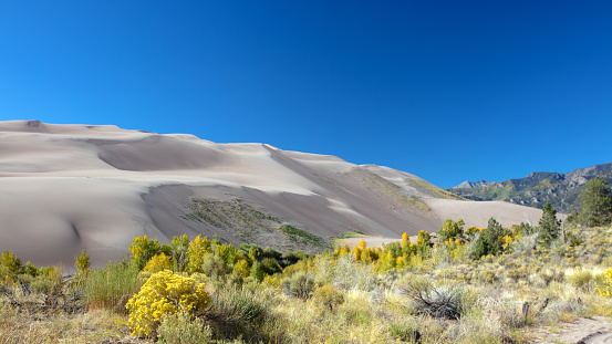 Serpentine shaped sand dunes in the Great Sand Dunes National Park in Colorado United States