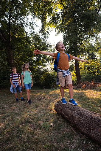A happy boy with a backpack walks on a tee trunk in the forest while his friends stand in the background