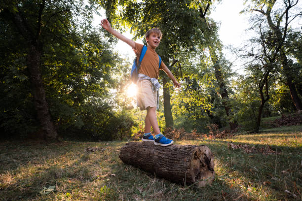 Happy little boy balancing on tree trunk in the forest