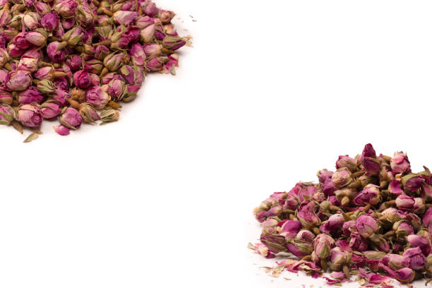 istock Dry tea roses isolated on white background. 1882634483