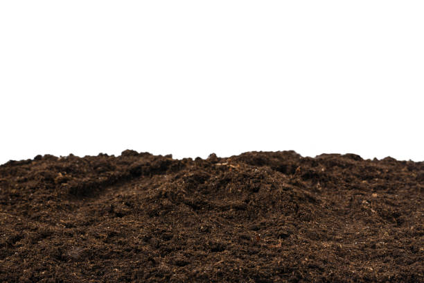 istock Soil for plant isolated on white background. 1882634494