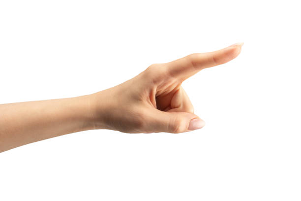 istock Woman hand isolated on a white background. 1882634522