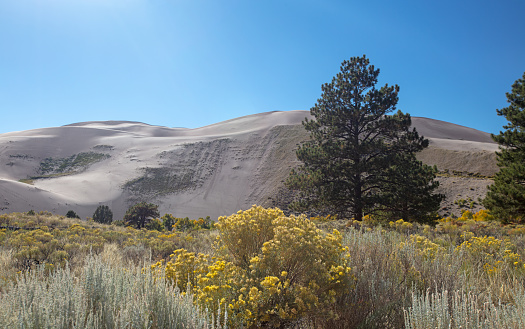 Great Sand Dunes National Park near Hooper Colorado United States