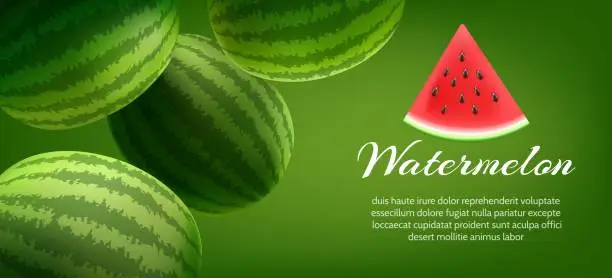 Vector illustration of Ripe watermelon poster