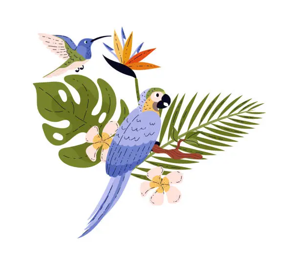 Vector illustration of Ara parrot and hummingbird around leaves and flowers flat style, vector illustration