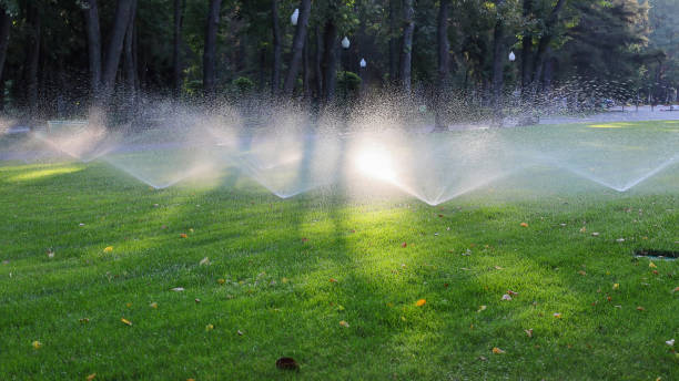 istock Watering the lawn in the park 1882676946