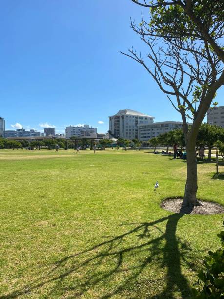 istock Green grass and high buildings 1882691392