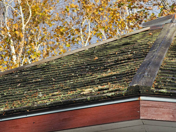istock Weathered Shingled Roof Top 1882842674