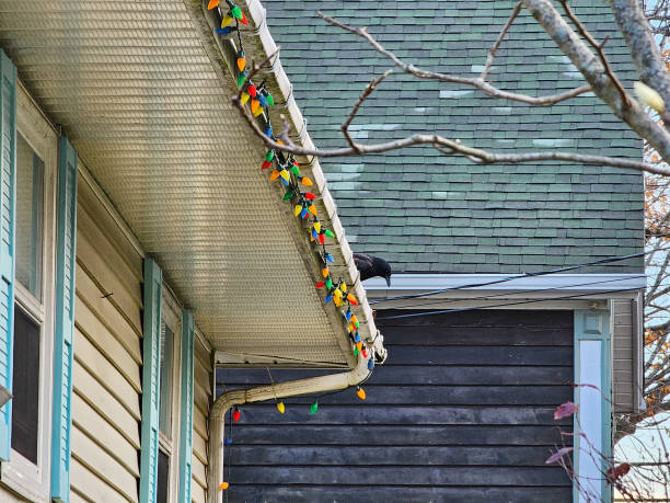 istock Crow at Edge of Roof 1882844624