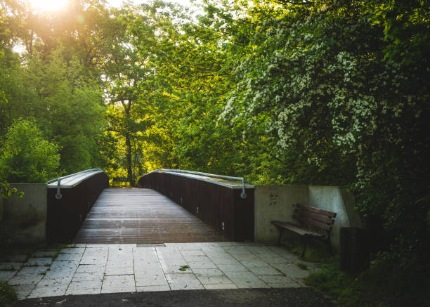 istock Picturesque bridge spanning a stream on a sunny summer day 1882847866