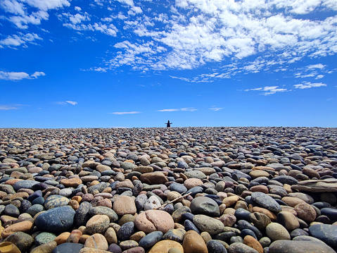 Beach with pebbles in Patagonia, Tierra del Fuego, Argentina in spring, with a penguin in the background