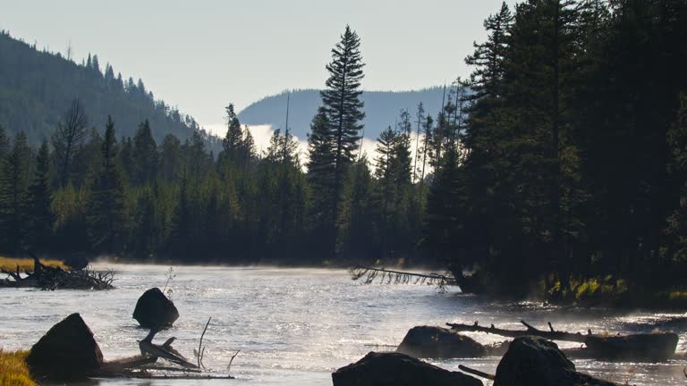 Steam Rising from the Yellowstone River Early on a Fall Morning