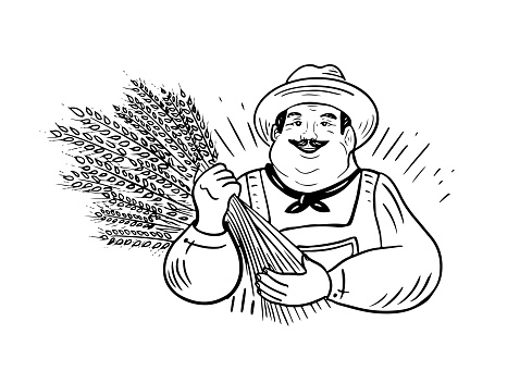 Working farmer holding wheat