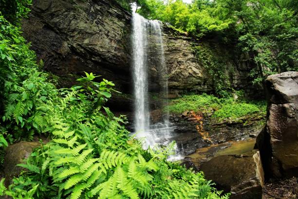 istock Hemlock Falls At Cloudland Canyon State Park Georgia 1882954123