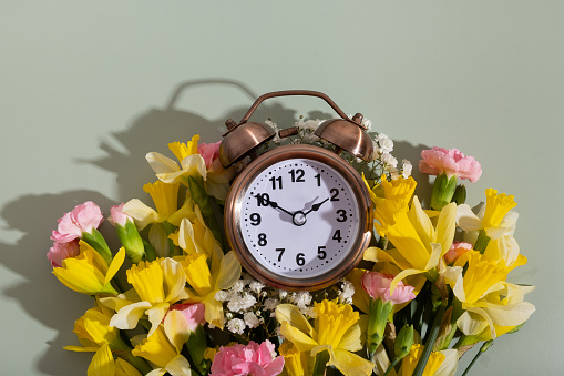 Alarm clock with spring flowers. Spring time, daylight savings concept, spring forward.