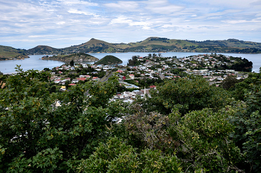 A scenic view of the Beautiful Port Chalmers and Otago harbour, New Zealand