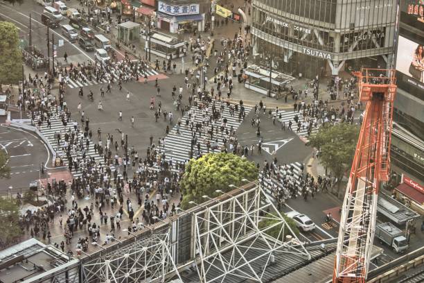 istock Shibuya Crossing from above 1883017506