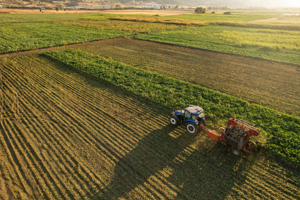 現場でのトラクター付きテンサイ収穫機のドローンビュー - beet sugar tractor field ストックフォトと画像