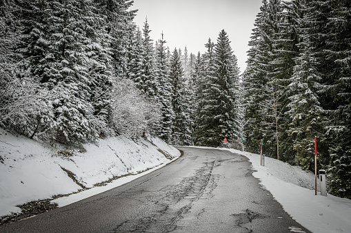 A winding road passing through a forest of snow-covered trees in Bavarian Alps, Germany