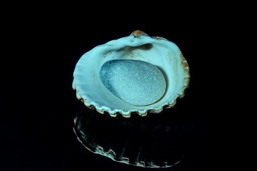 A close-up shot of a pebble in an oyster shell isolated on a black surface