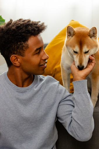 african american man with shiba inu dog at home