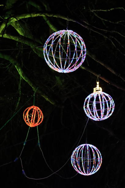 istock Christmas lights at night - large round multi coloured baubles hanging from a tree in a park 1883250366