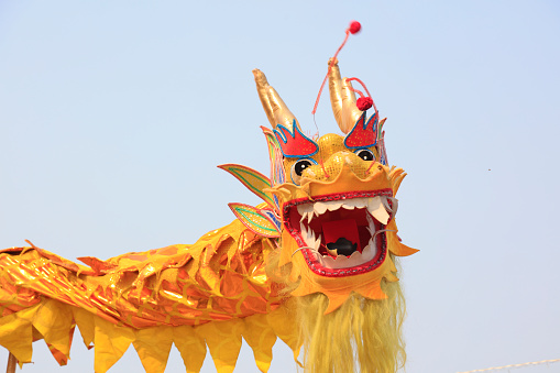 Chinese folk dragon dance props