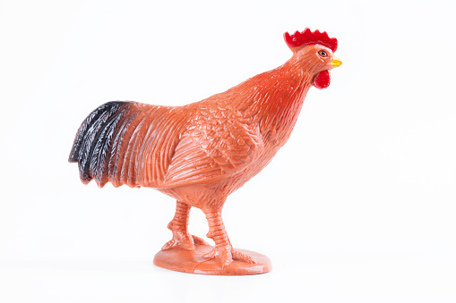 plastic rooster toy on white background