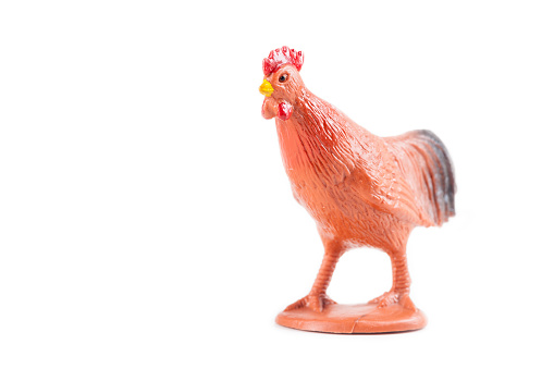 plastic rooster toy on white background