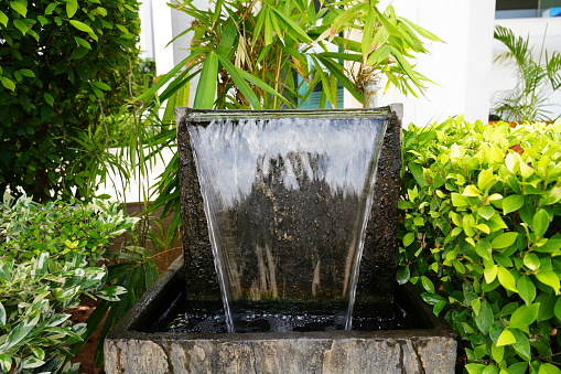 Close up Photograph of a mini water fountain surrounded with green plants