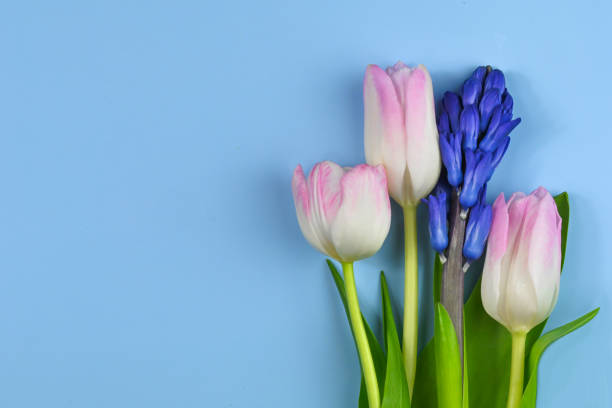 istock Spring bouquet with Pink tulips. 1883366042