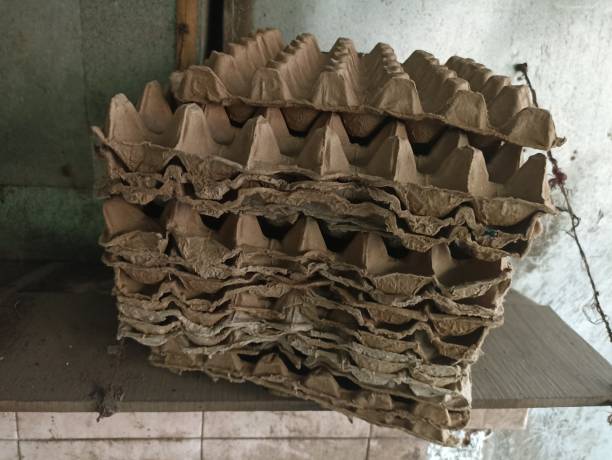 istock A special place for storing eggs. Store eggs so they don't break easily. 1883387415