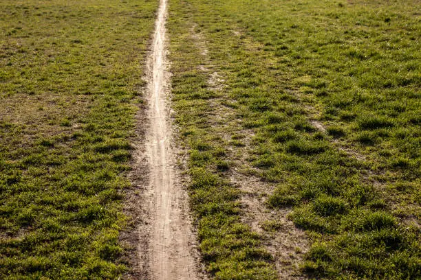 Picture of a path of least resistance in the grass, a muddy path.
